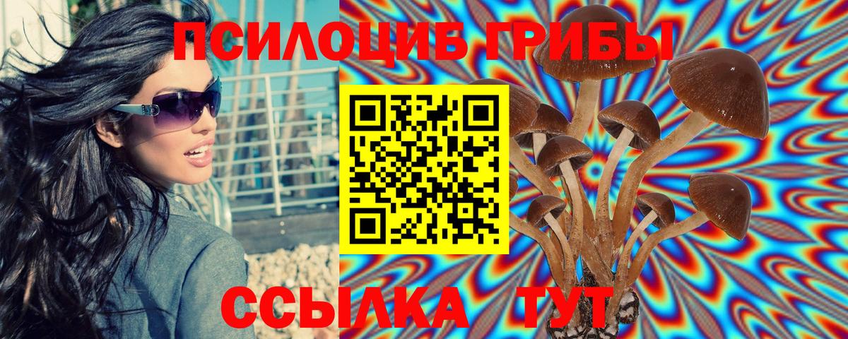 Псилоцибиновые грибы Magic Shrooms Биробиджан