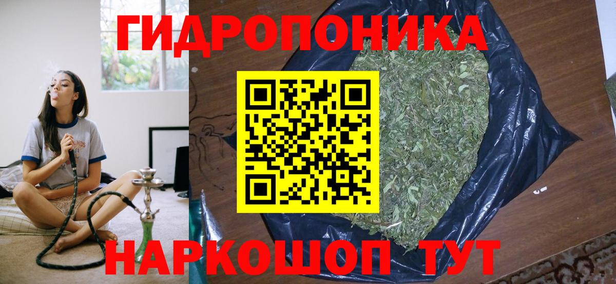 Шишки марихуана план  МАРИХУАНА OG Kush  Биробиджан  Вход с VPN  МАРИХУАНА SATIVA & INDICA 